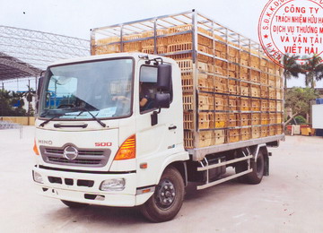 Xe Hino 5.5 tấn chở gà thùng:5690 x 2200 x 2200mm